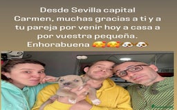 American Staffordshire-Terrier perros en venta: American Stanford, mis pequeños - Imagen 10