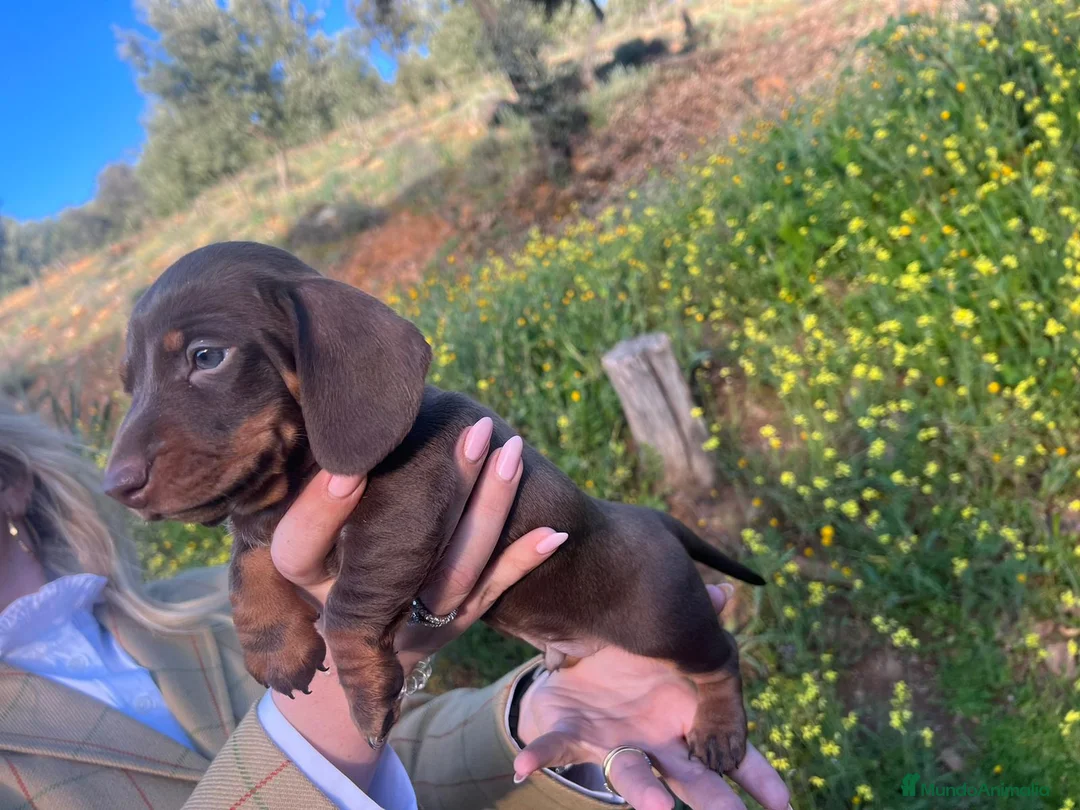 Imagen de galería {{count}}