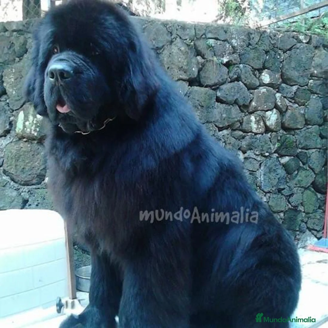 Imagen de galería {{count}}