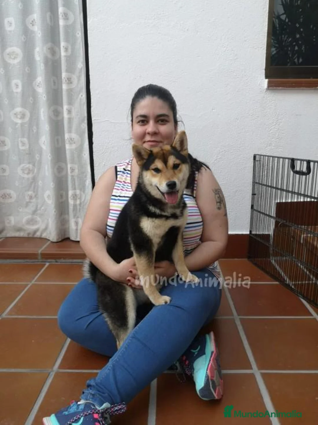 Imagen de galería {{count}}