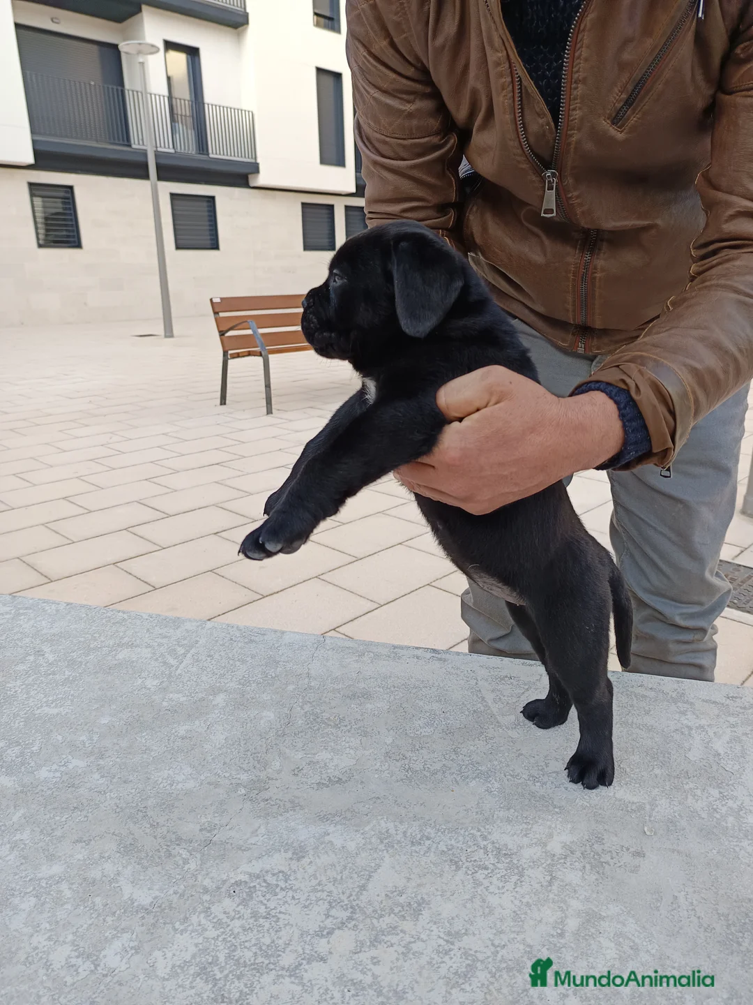 Imagen de galería {{count}}