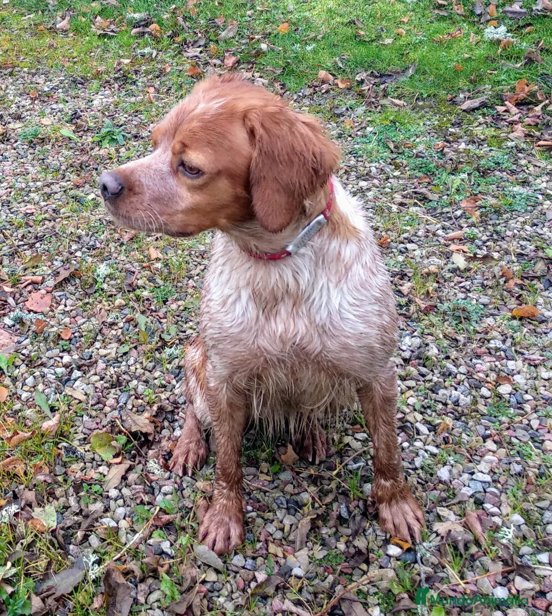 Imagen de galería {{count}}