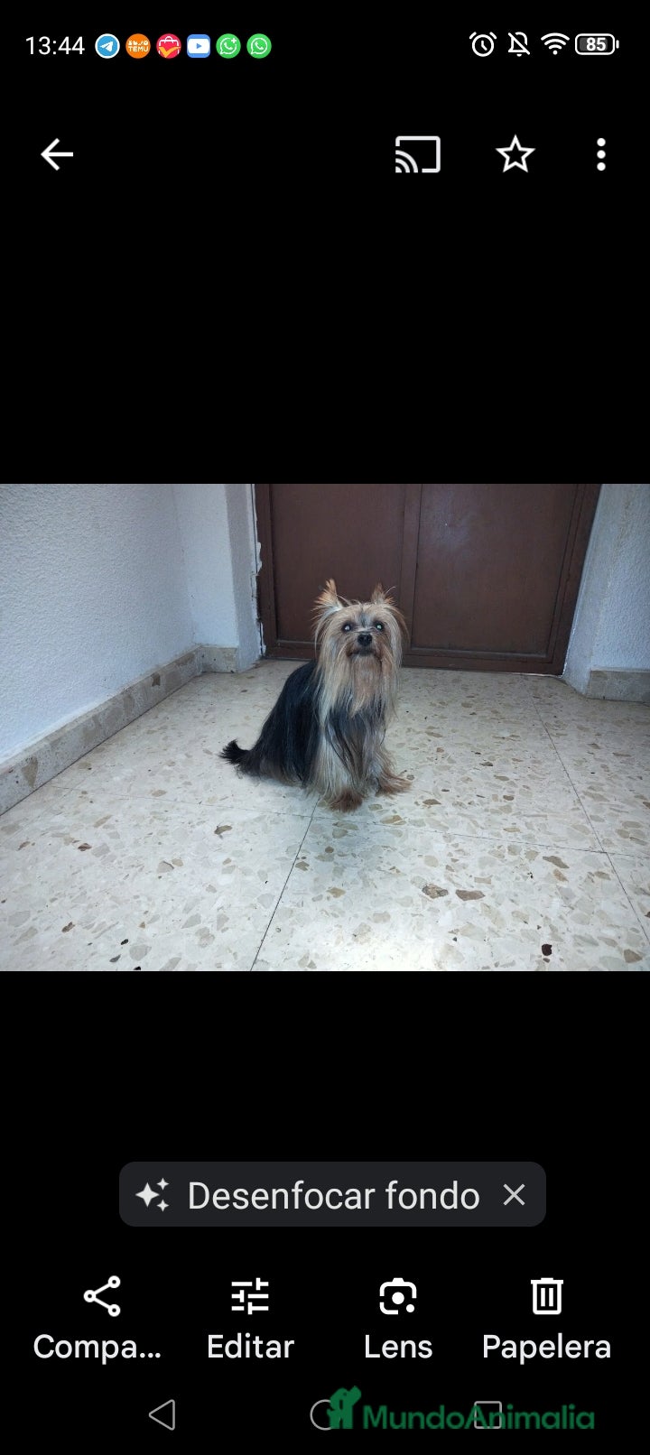 Charlie 