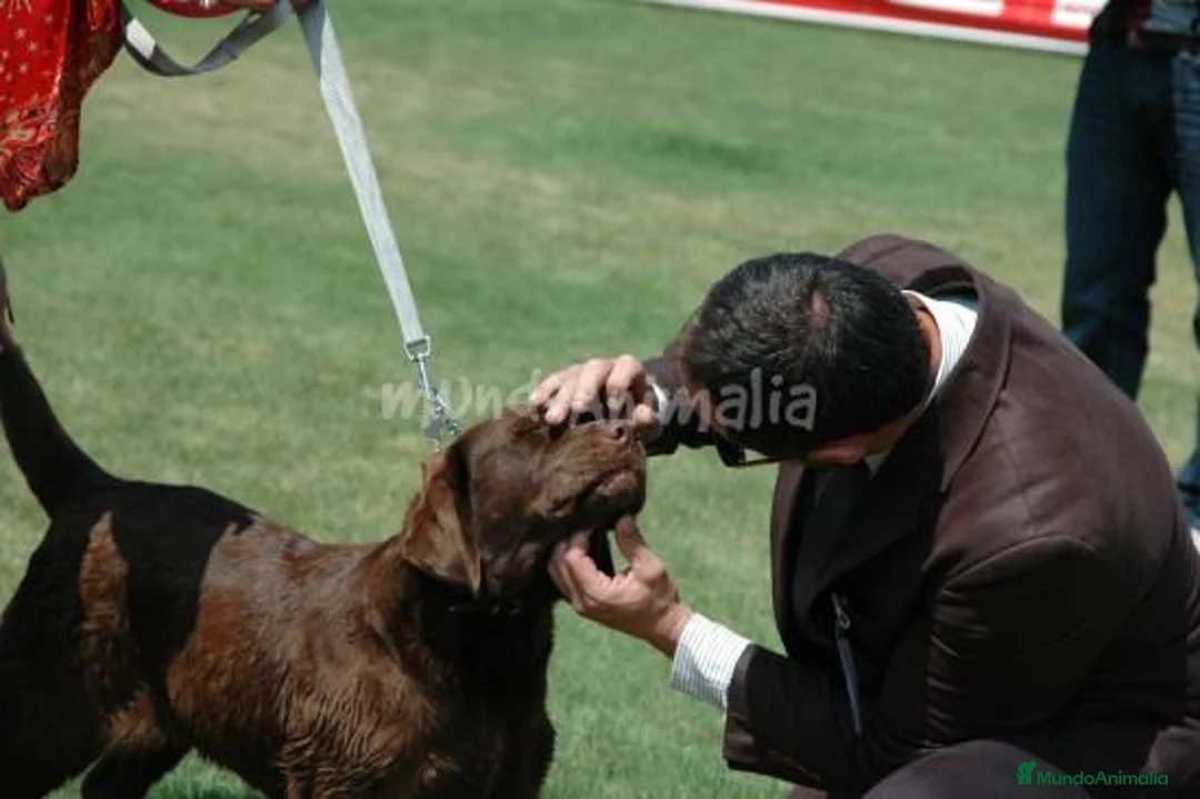 Imagen de galería {{count}}