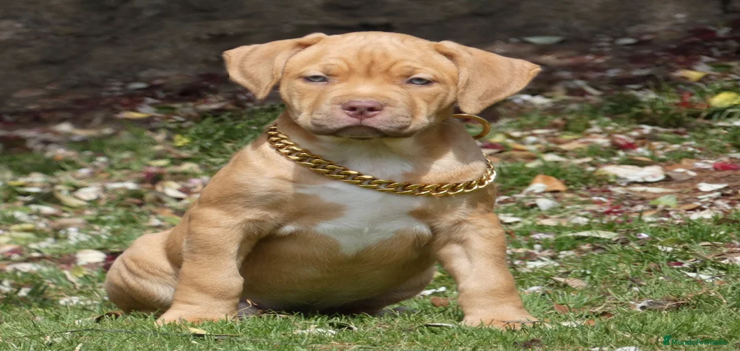 Imagen de galería {{count}}