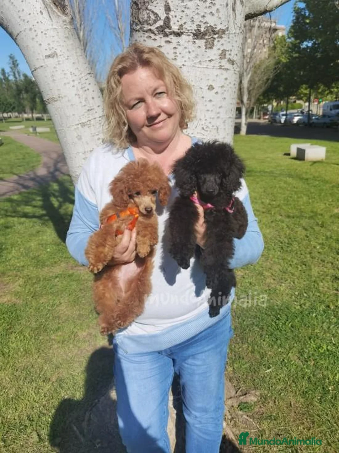 Imagen de galería {{count}}