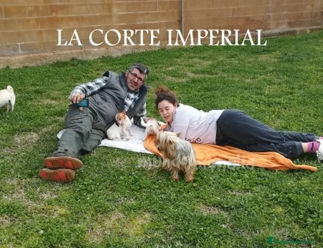 Imagen de galería {{count}}