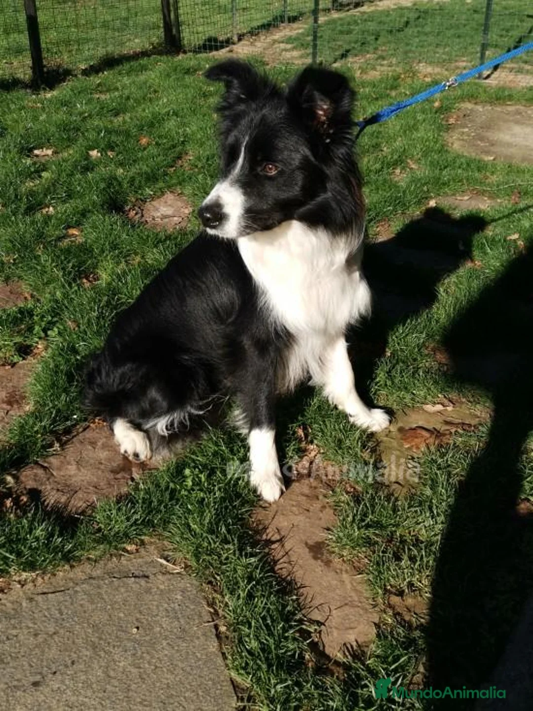 Imagen de galería {{count}}