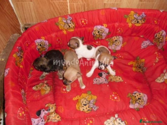 Imagen de galería {{count}}