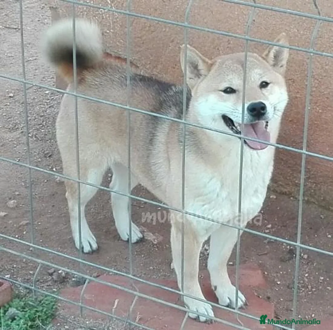 Imagen de galería {{count}}