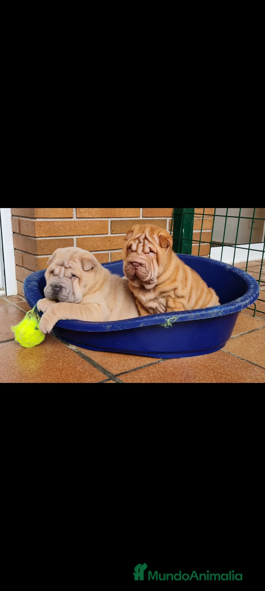 Imagen de galería {{count}}