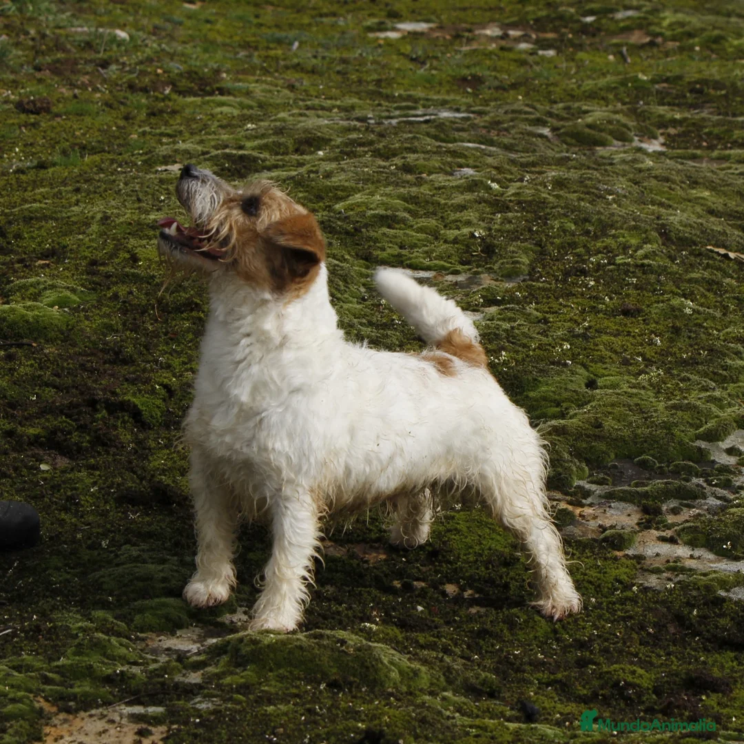 Imagen de galería {{count}}