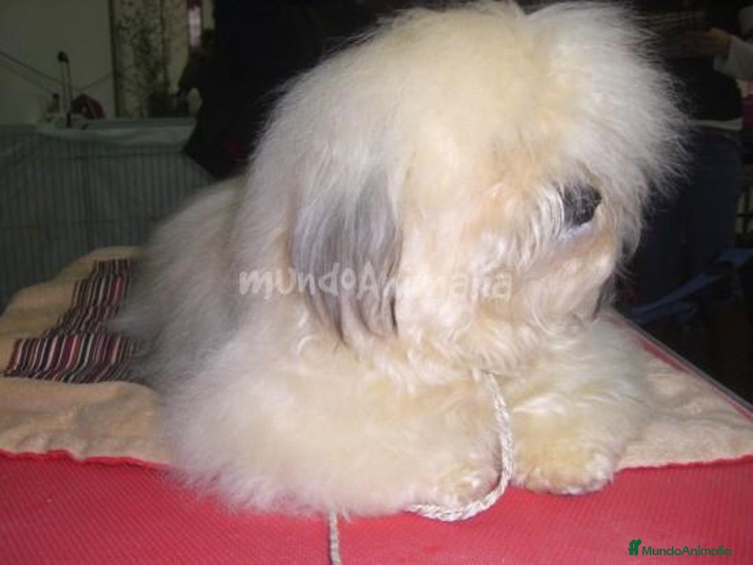 Imagen de galería {{count}}