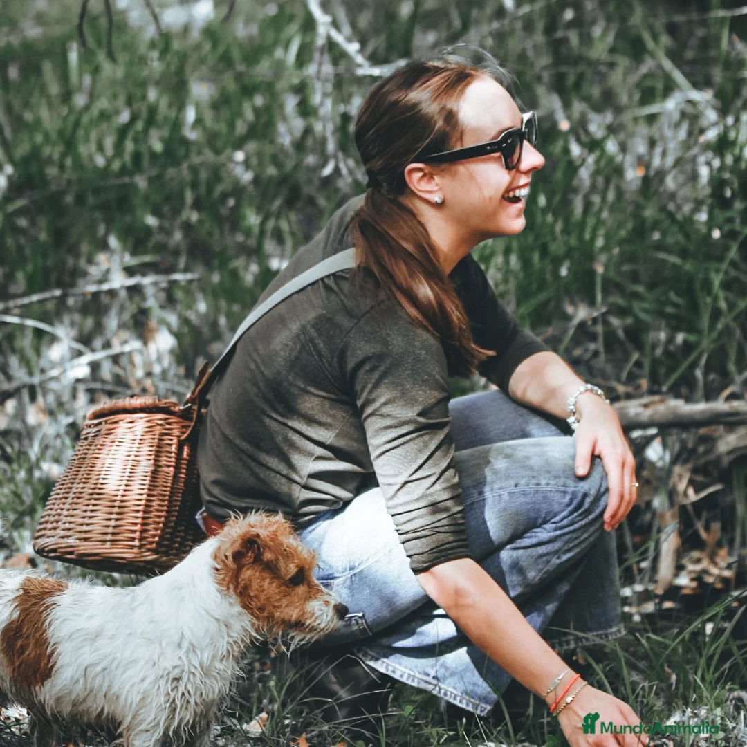 Imagen de galería {{count}}