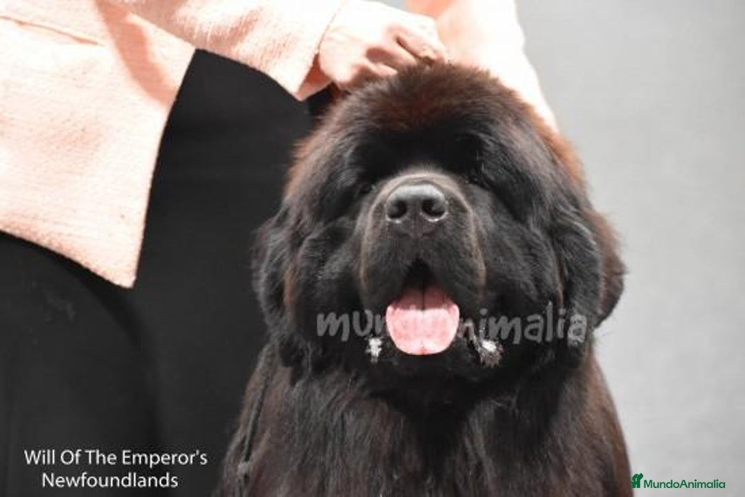 Imagen de galería {{count}}