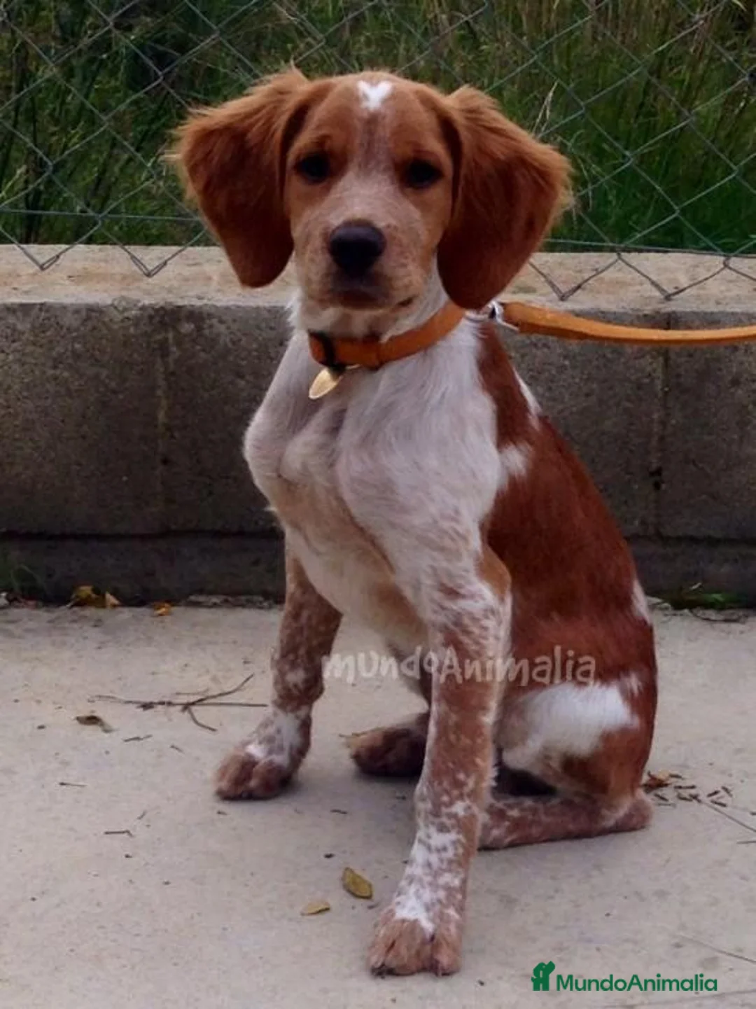 Imagen de galería {{count}}