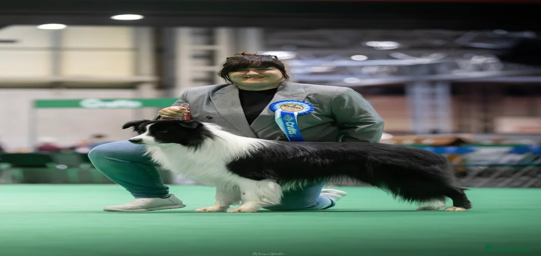 Imagen de galería {{count}}