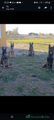 Imagen de galería {{count}}