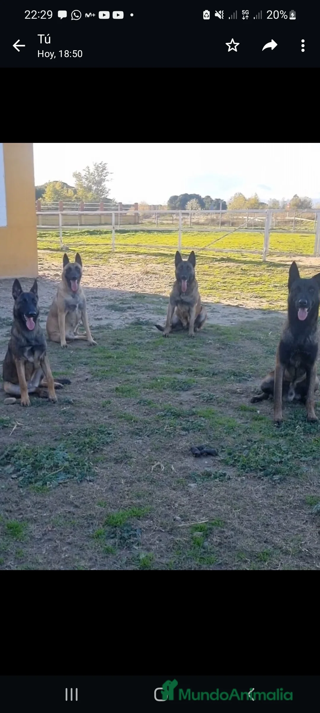 Imagen de galería {{count}}