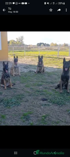 Imagen de galería {{count}}