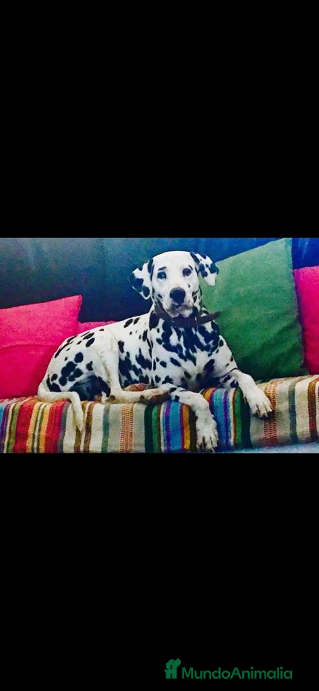 Imagen de galería {{count}}