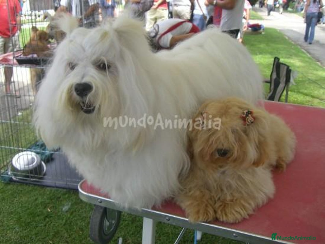 Imagen de galería {{count}}