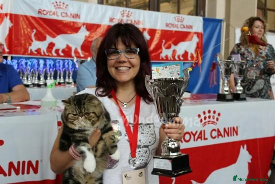 Imagen de galería {{count}}