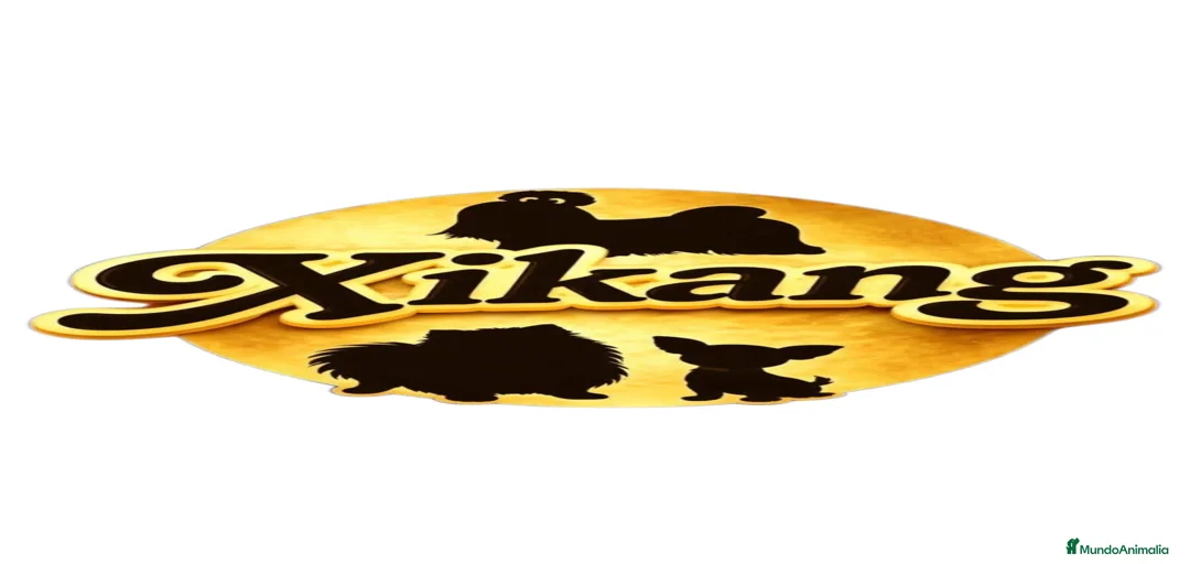 Imagen de galería {{count}}