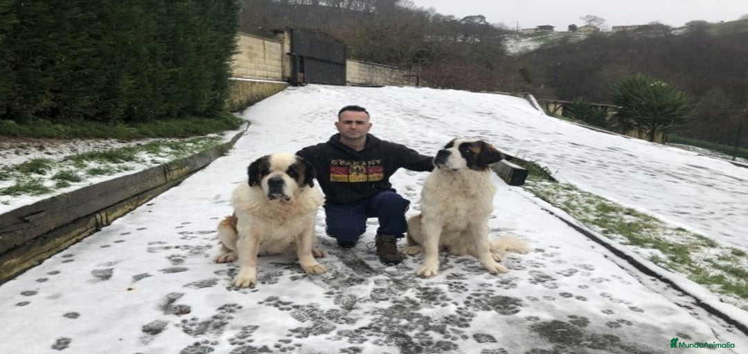 Imagen de galería {{count}}