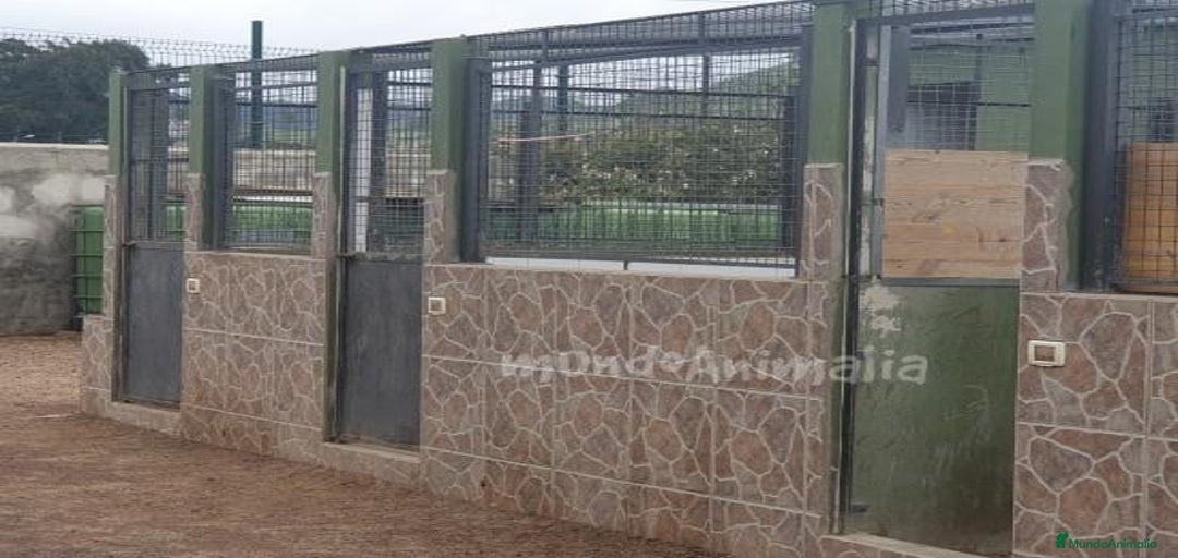 Imagen de galería {{count}}