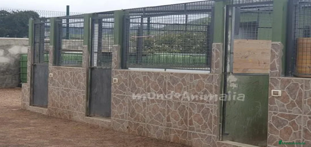 Imagen de galería {{count}}