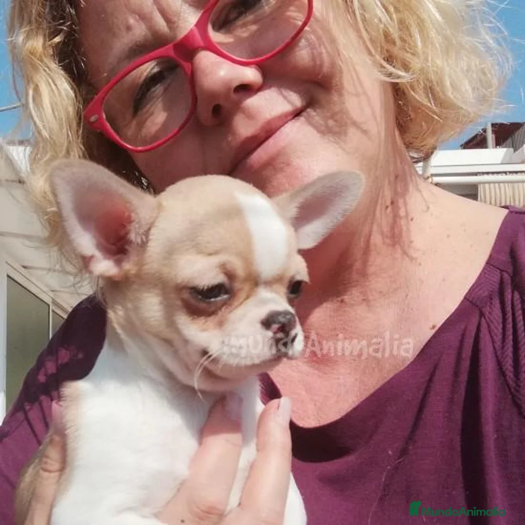 Imagen de galería {{count}}