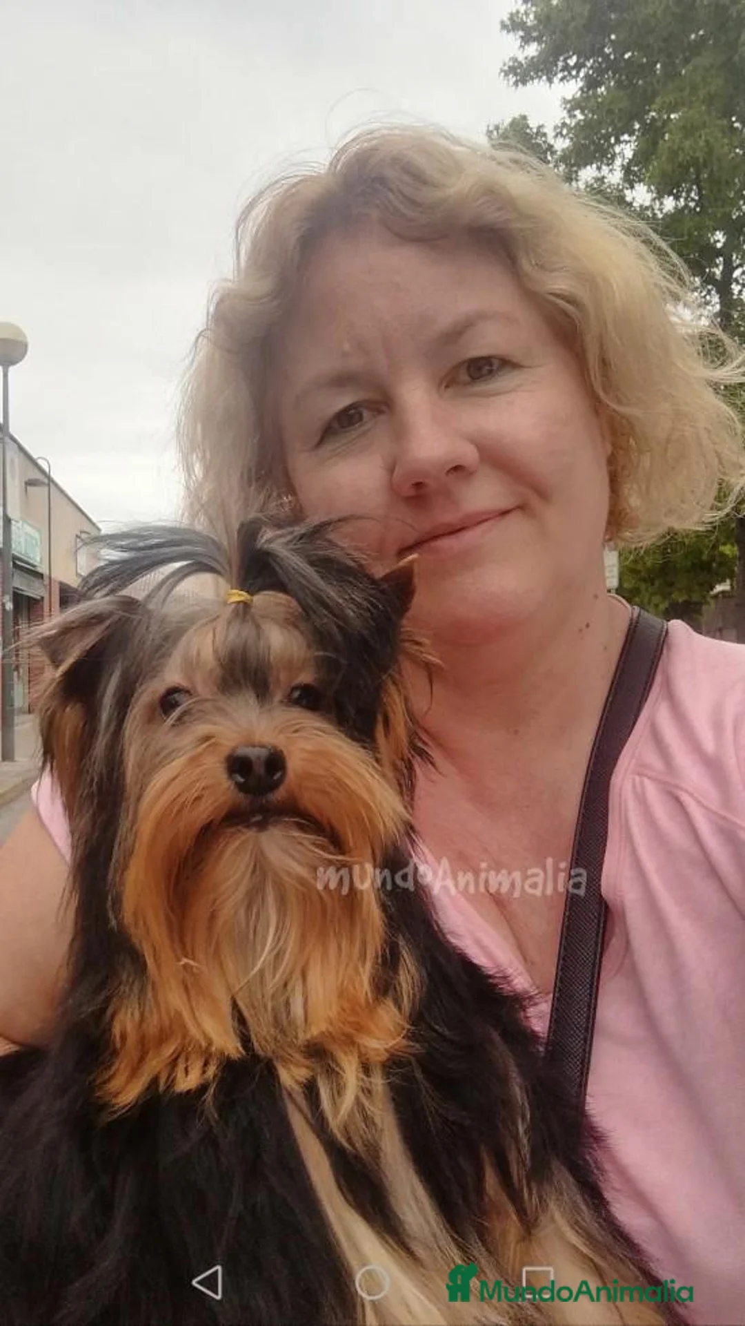 Imagen de galería {{count}}