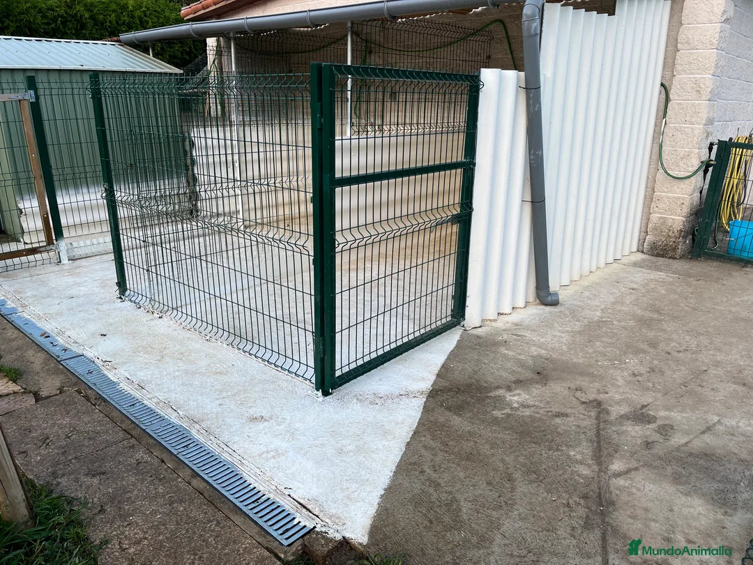 Imagen de galería {{count}}