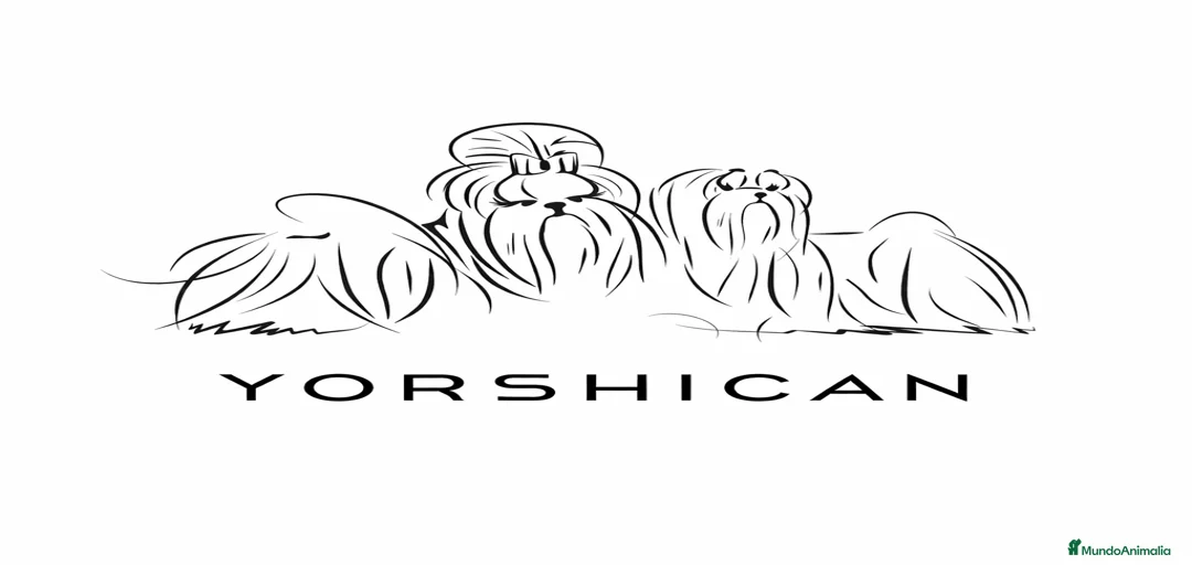 Imagen de galería {{count}}