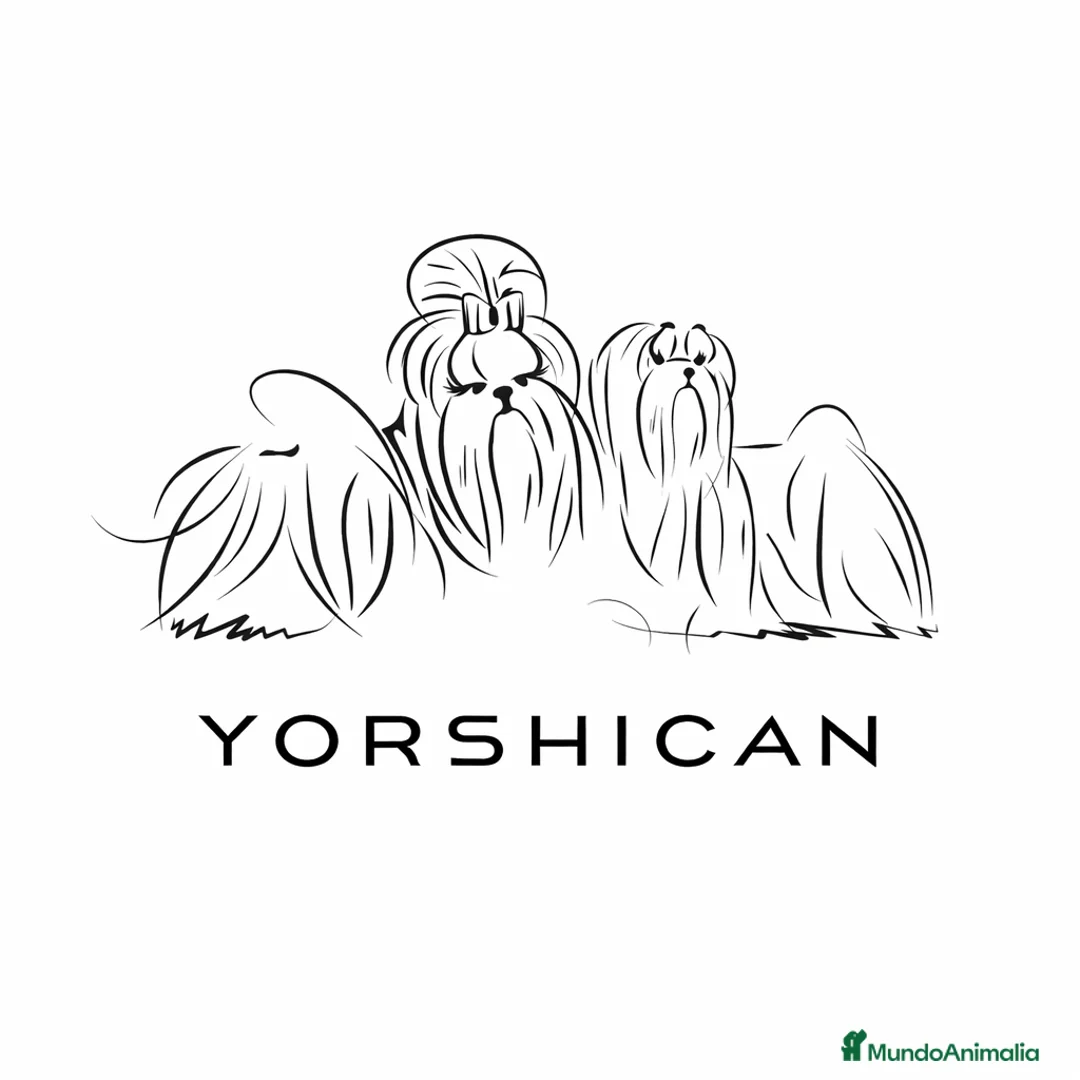 Imagen de galería {{count}}