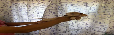 Teckel 3