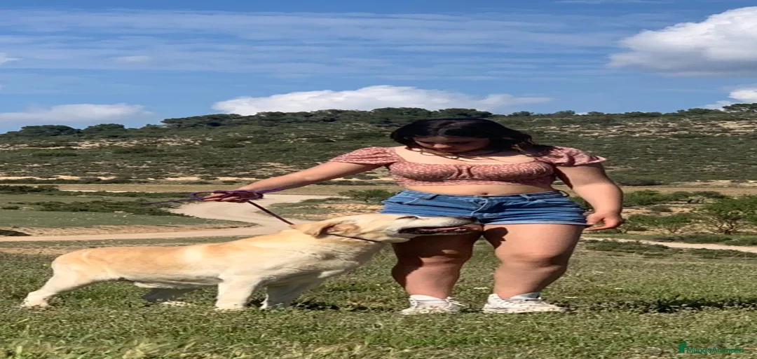 Imagen de galería {{count}}