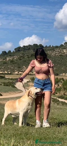 Imagen de galería {{count}}