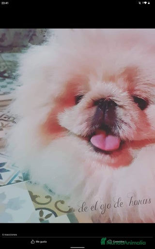 Imagen de galería {{count}}