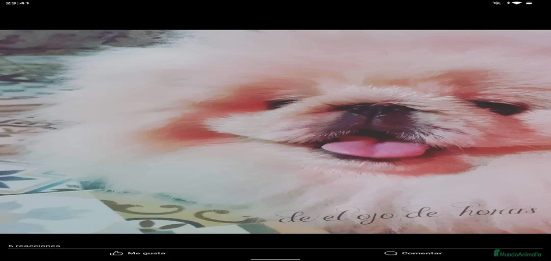 Imagen de galería {{count}}