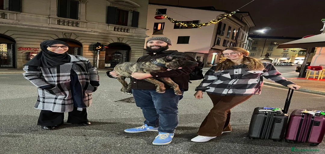 Imagen de galería {{count}}