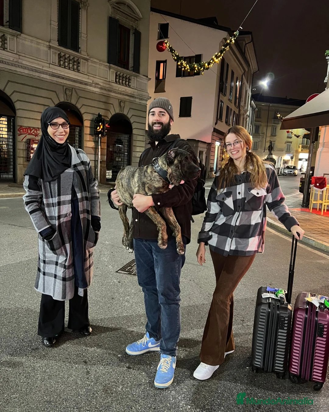 Imagen de galería {{count}}