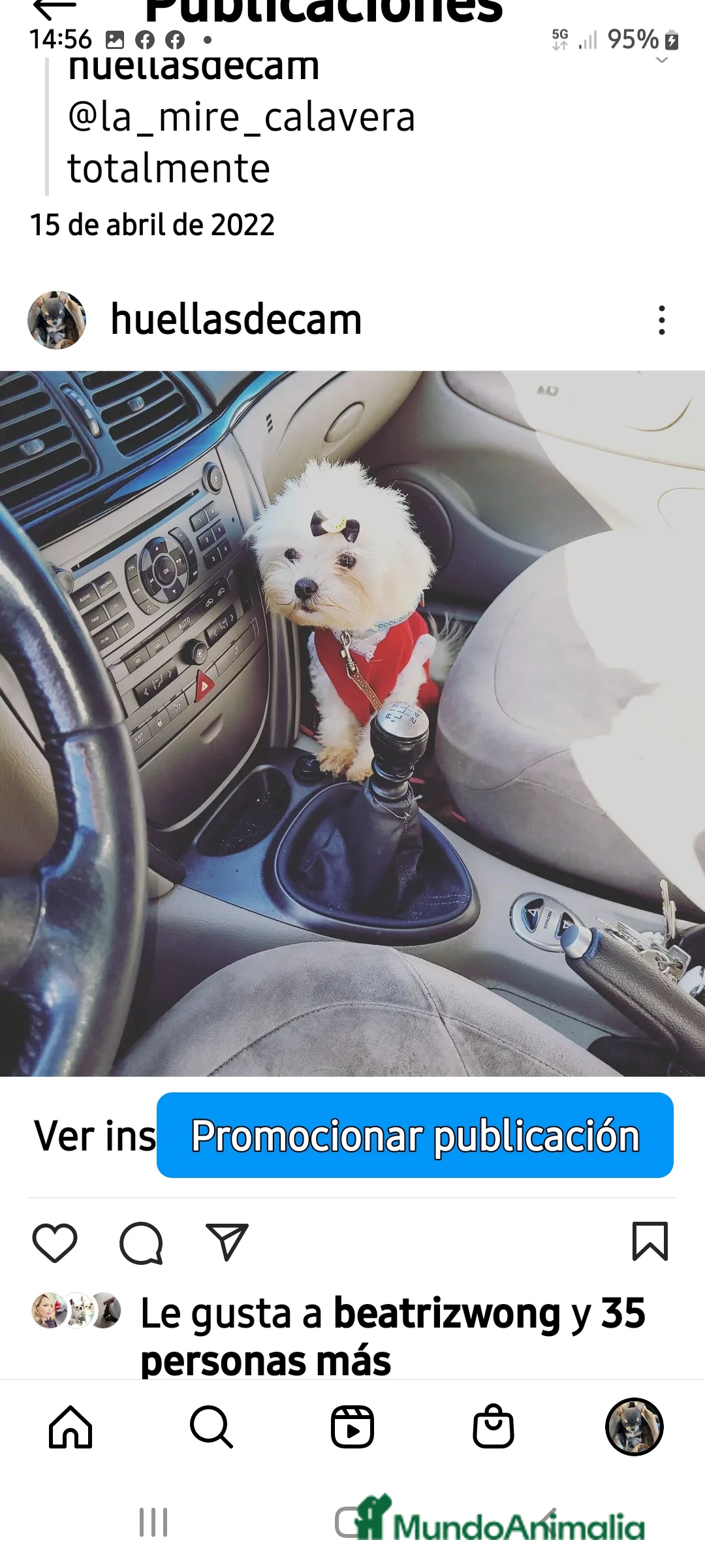 Imagen de galería {{count}}