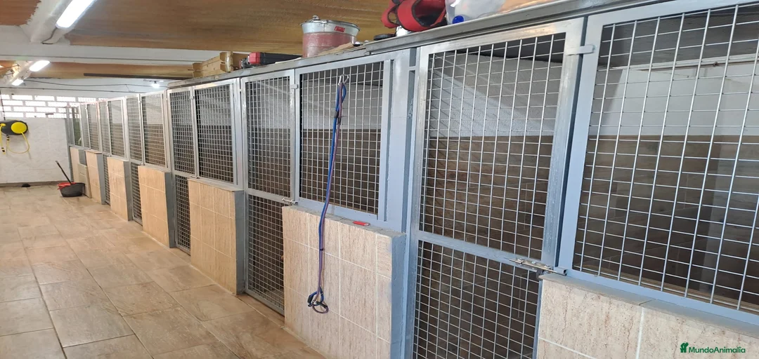 Imagen de galería {{count}}