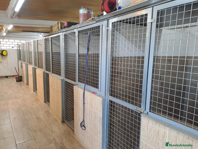 Imagen de galería {{count}}