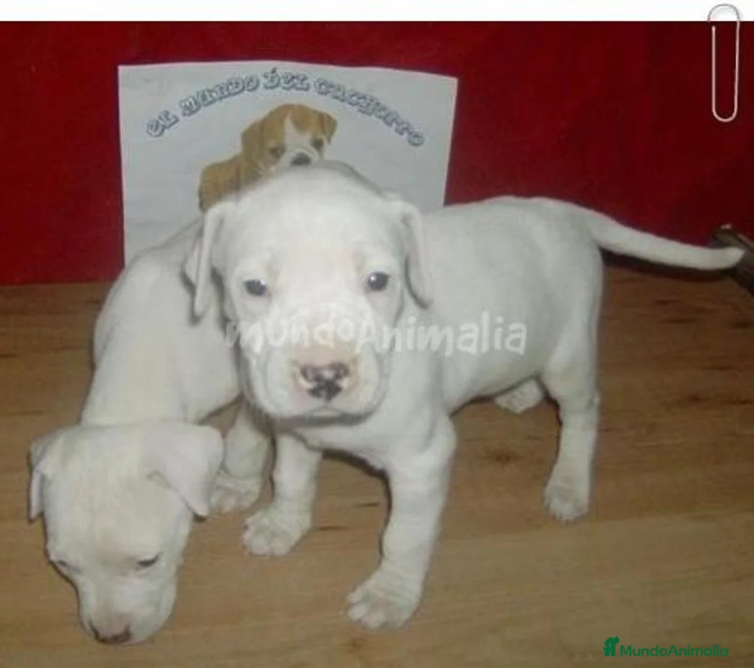 Imagen de galería {{count}}