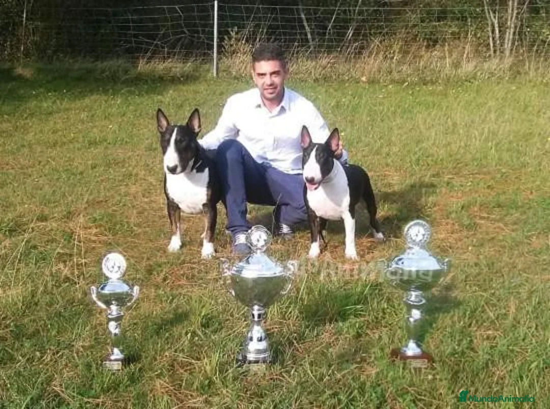 Imagen de galería {{count}}