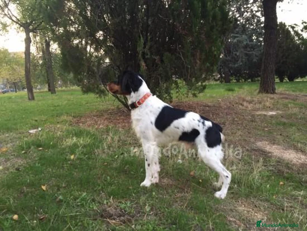 Imagen de galería {{count}}