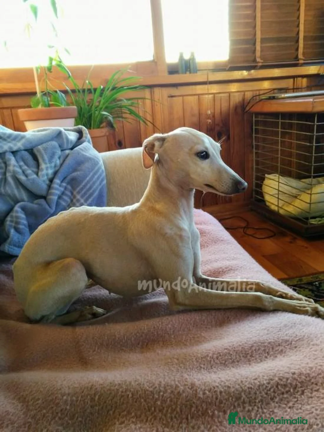 Imagen de galería {{count}}